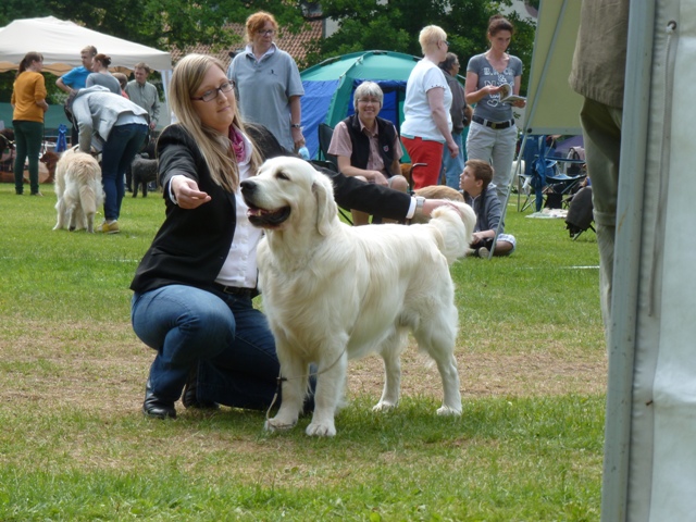 Burg Hardenberg 2013