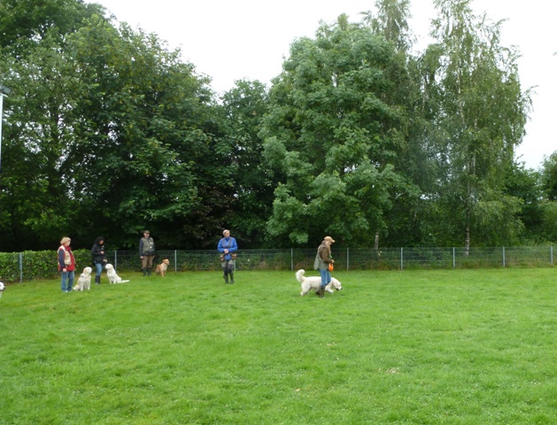 Training mit Anke Bogaerts