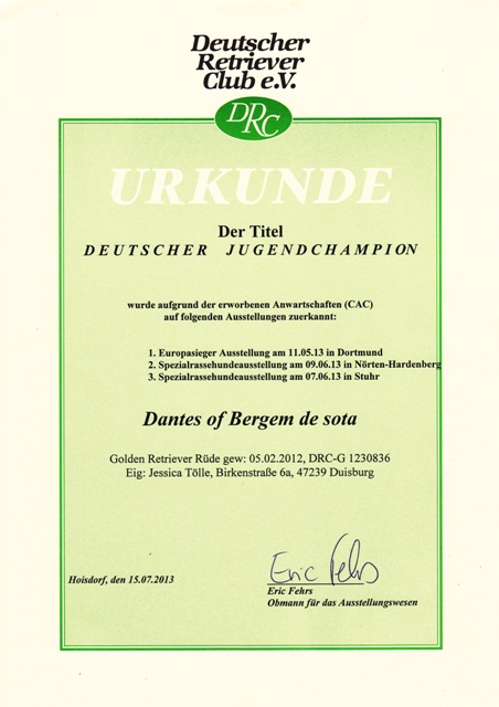 Urkunde Jugendchampion