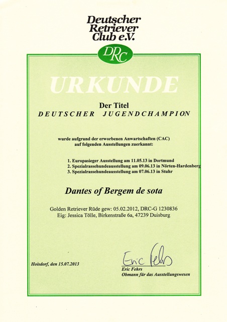 Urkunde Jugendchampion