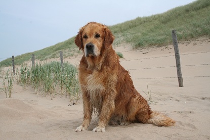 Zandvoort 0811